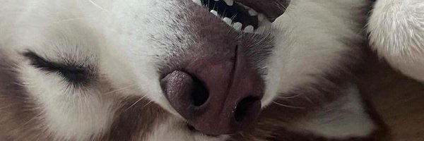 2sanman2 Profile Banner