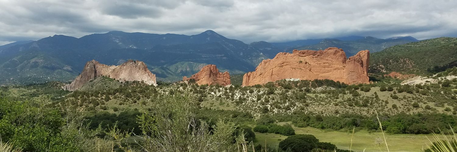 Jessica Morris banner