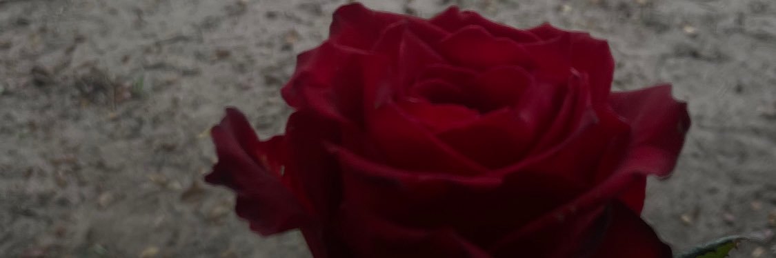 leolardo_ss's profile banner image