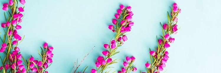 GabbyChacon's profile banner image