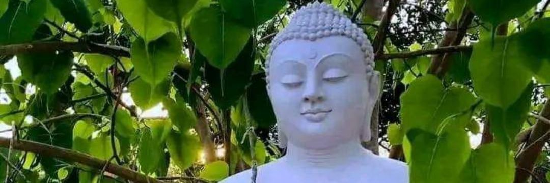 AnishJaiswar's profile banner image