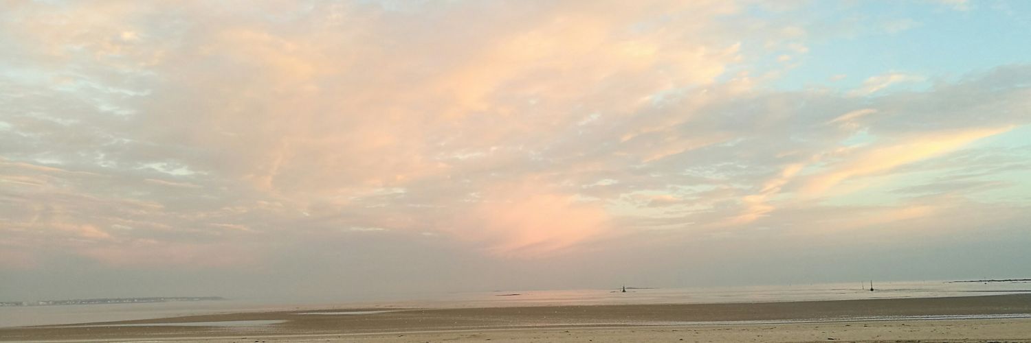 siamvez's profile banner image