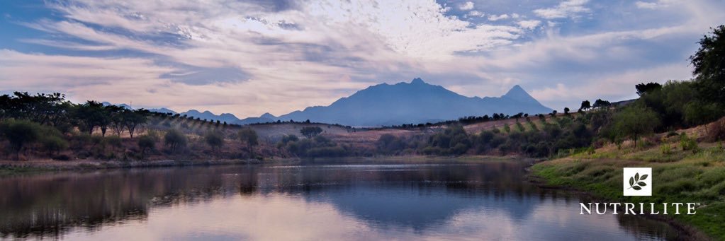 AmwaySAtweets's profile banner image