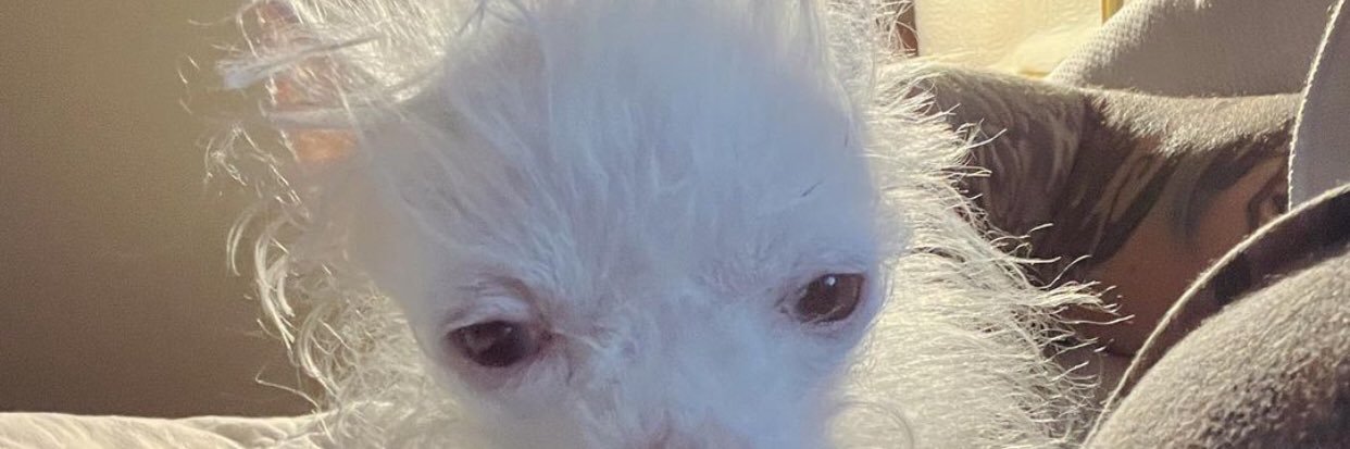 0ggof123's profile banner image