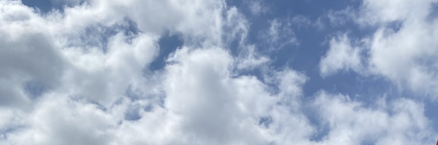 BraBlbl9's profile banner image