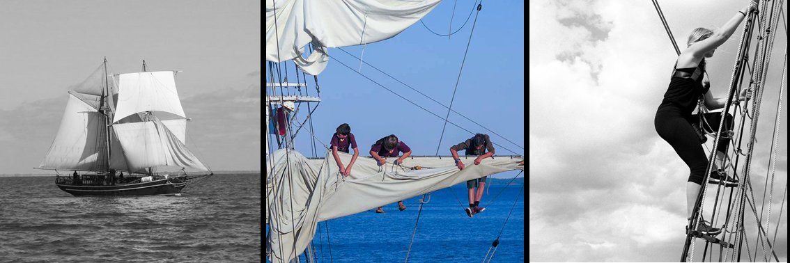 brigs_sailing's profile banner image