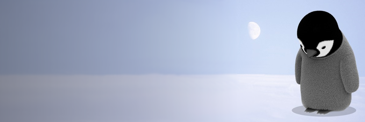 aoi_sumomo's profile banner image