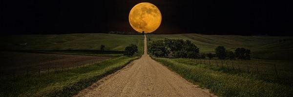 Siddharth Pandey banner