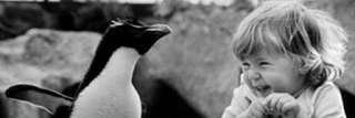 alexiadyc's profile banner image