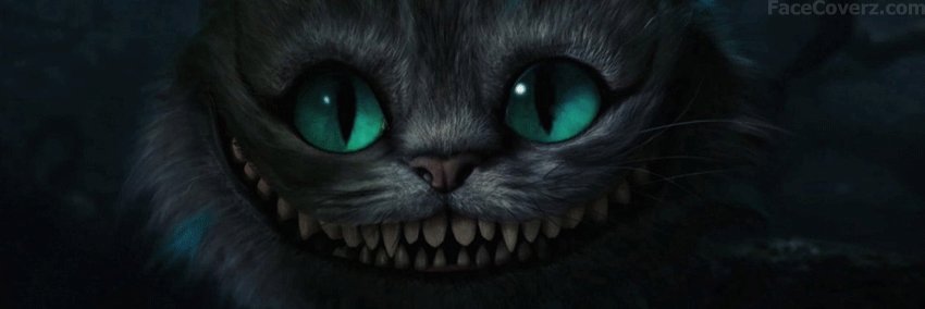 FernandoFernans's profile banner image