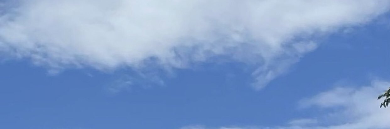 timealonewithyu's profile banner image