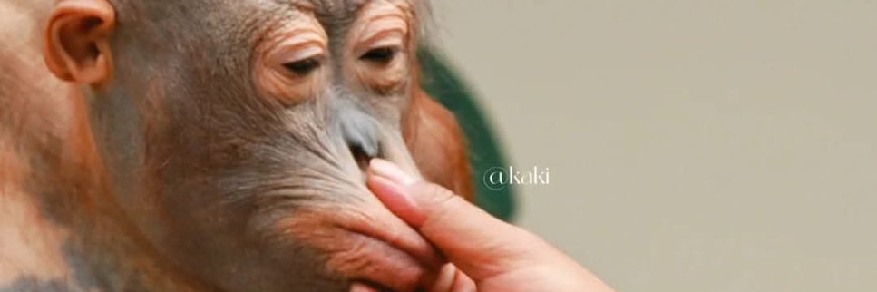smallmanners's profile banner image