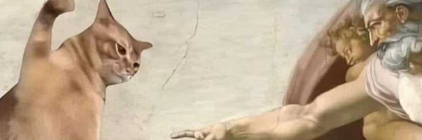 imgorgash's profile banner image