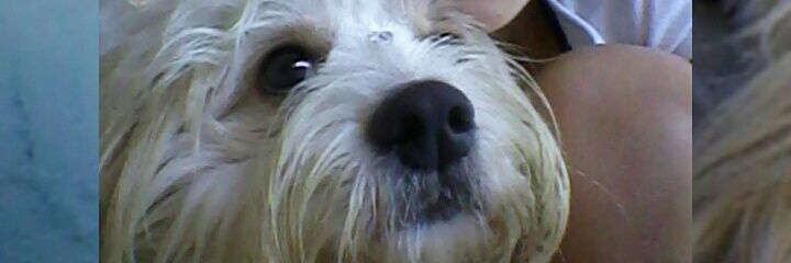 kindermanndudaa's profile banner image