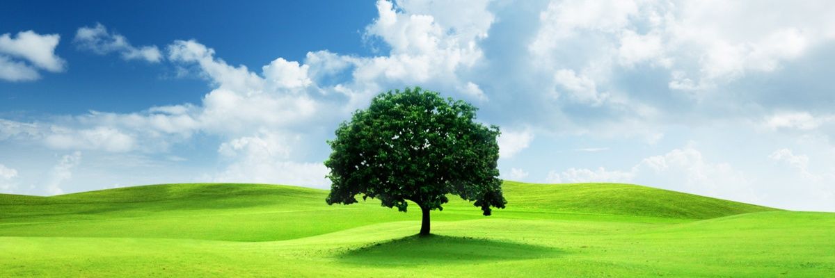 AsbaguiA's profile banner image