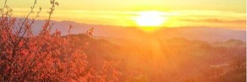 KeriGodfrey_'s profile banner image