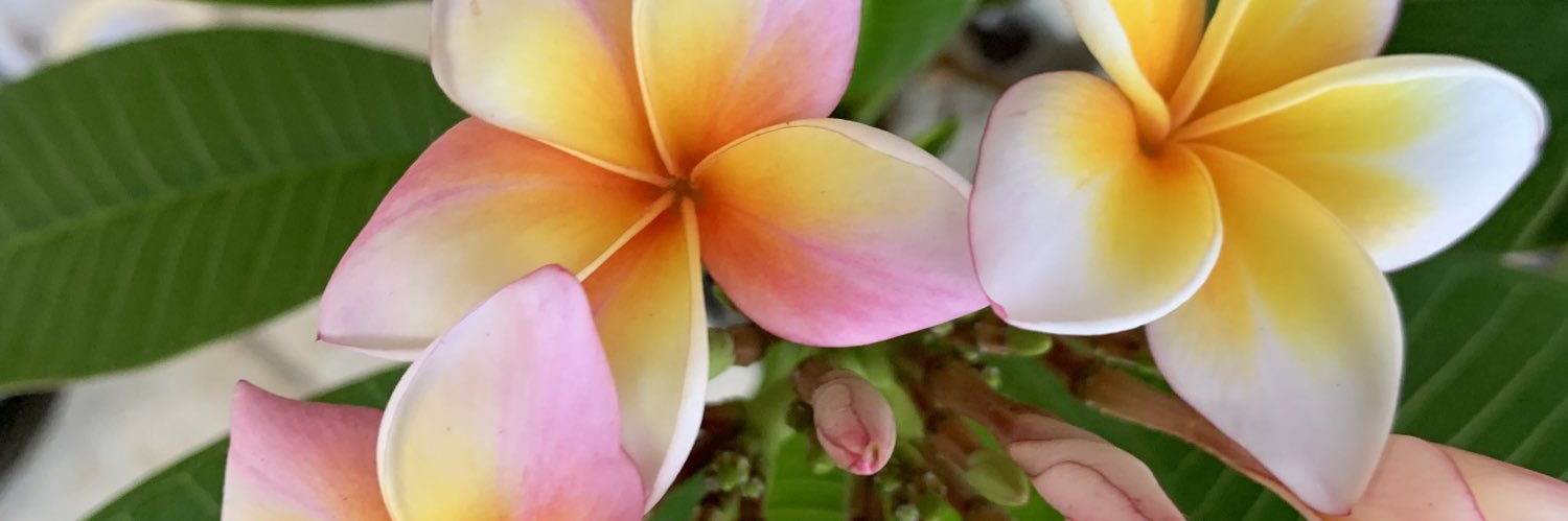 cheru0309's profile banner image