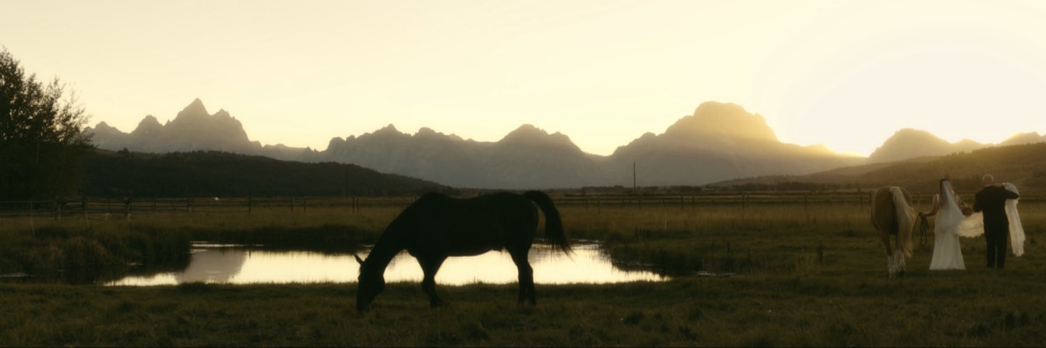 carly_padgett's profile banner image