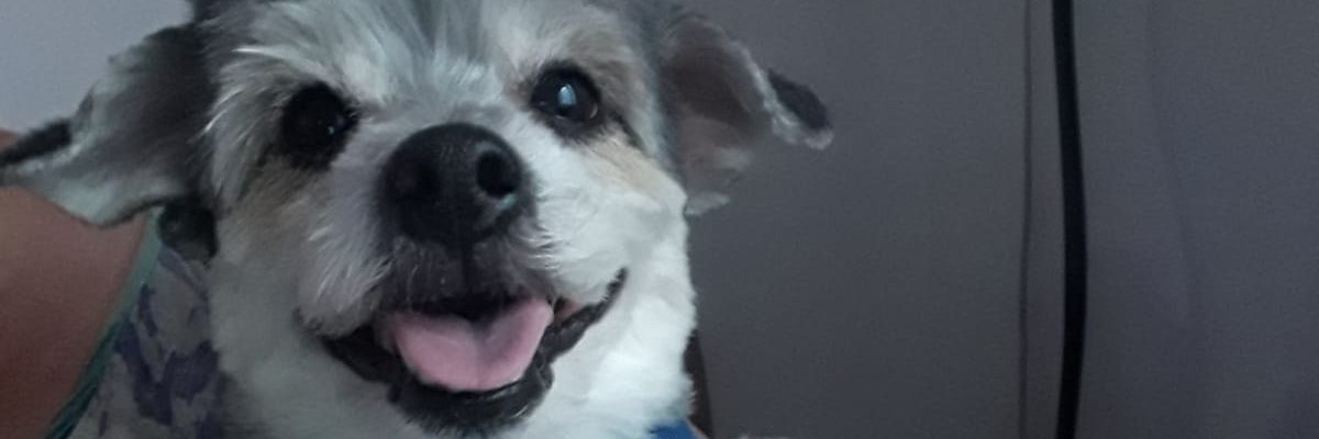 GabiiCostaa_'s profile banner image