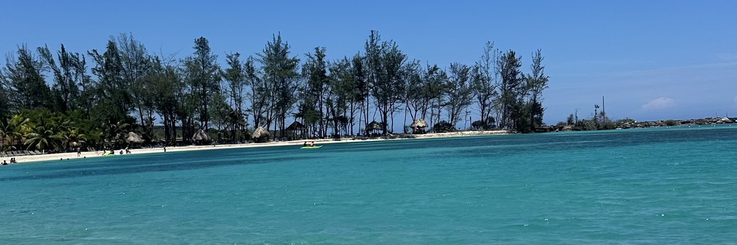 not Tequila. 🍋 banner