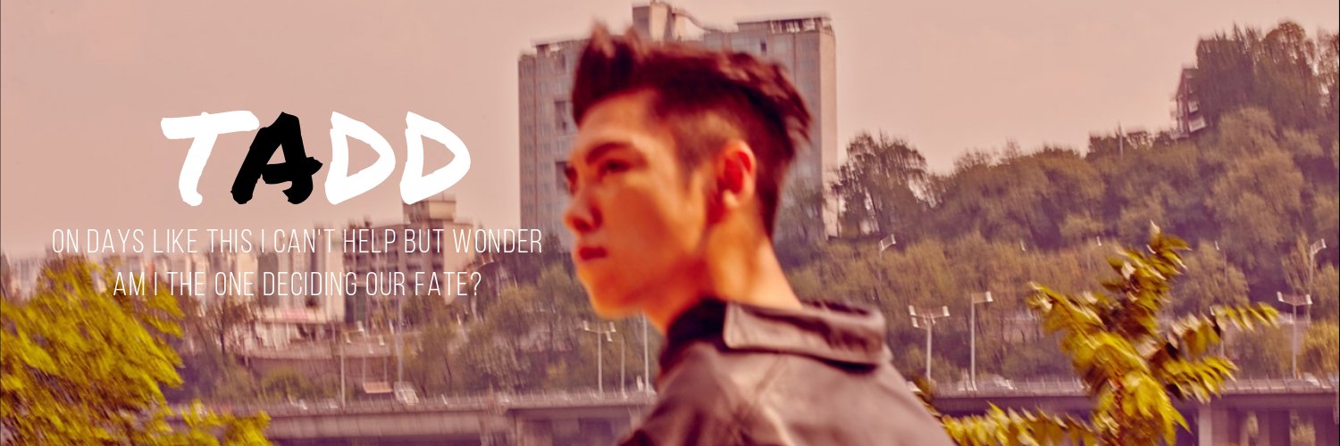 TaddTheory's profile banner image