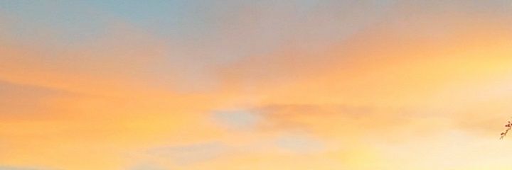 CosmoNoir's profile banner image