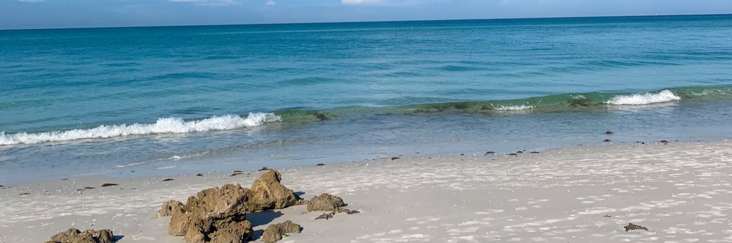 Joe Bergstrom banner