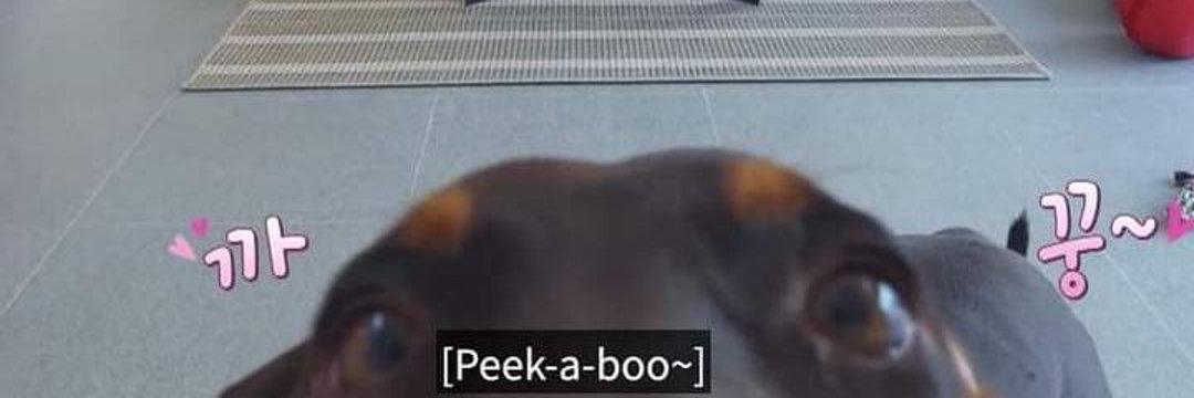 agustdoki's profile banner image