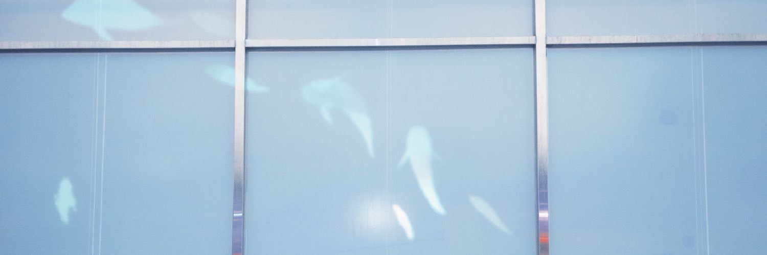 Ningee_'s profile banner image