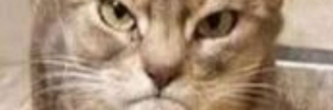 TimSlocum1's profile banner image