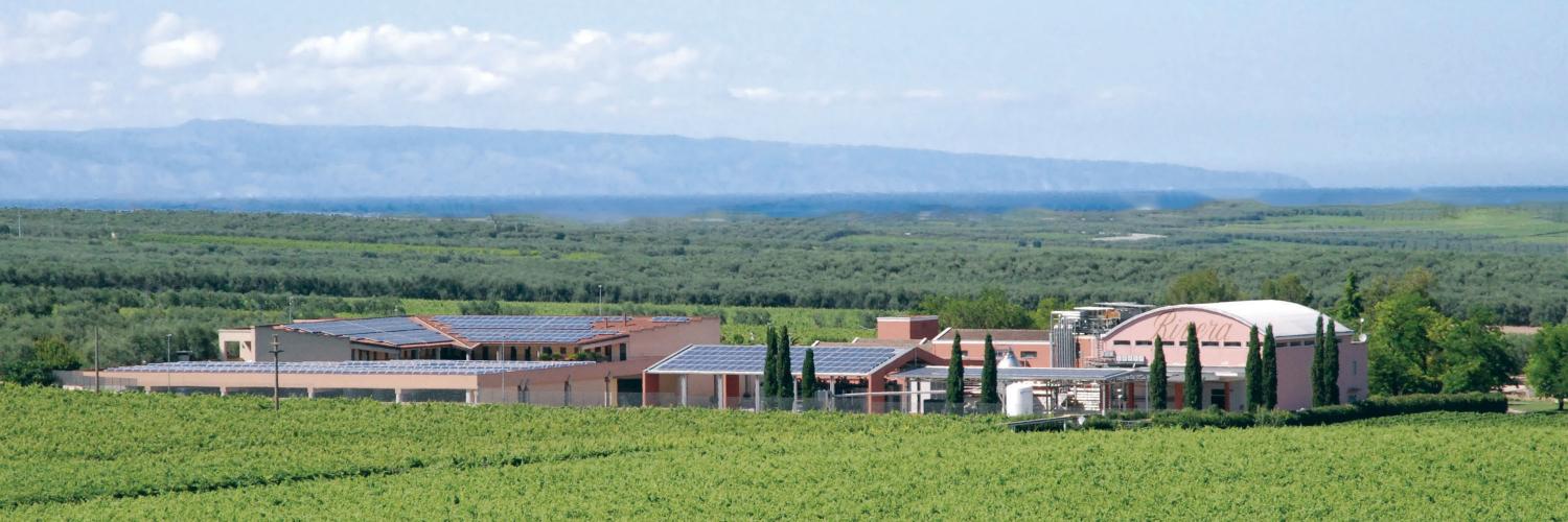 CantineRivera's profile banner image