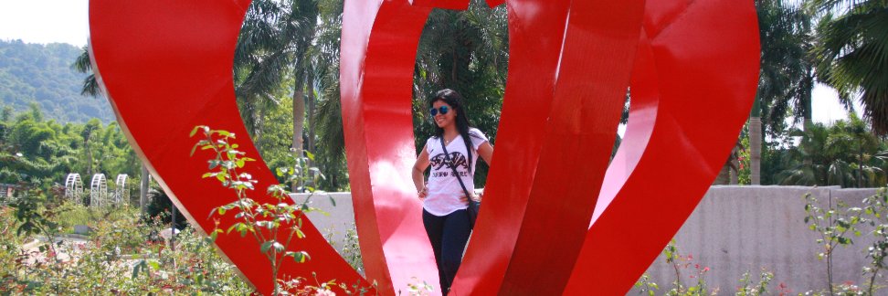 lynnsanchezv's profile banner image
