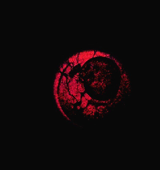 sapru_e's profile banner image