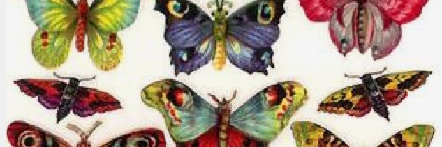 MrsWalmarts's profile banner image