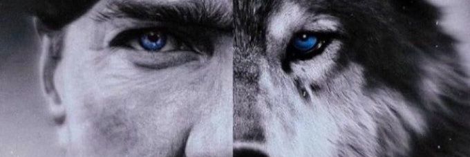 Turkbakisli's profile banner image