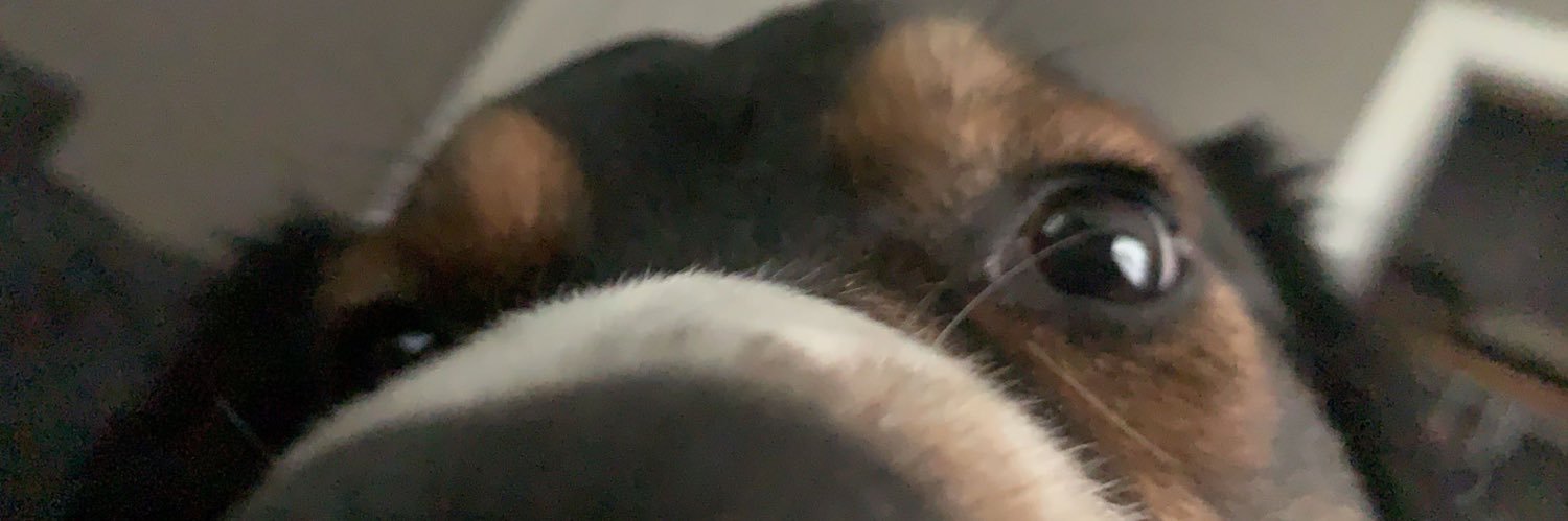 paliobeis's profile banner image