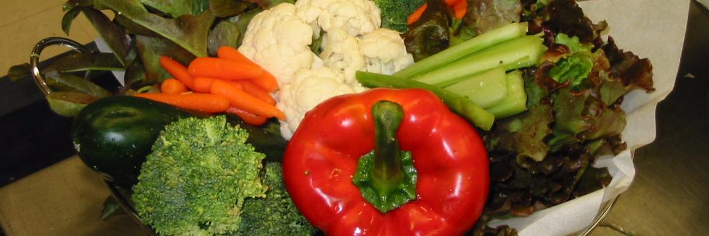 RIHealthySchoolsCoa banner