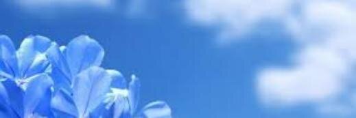Alex banner