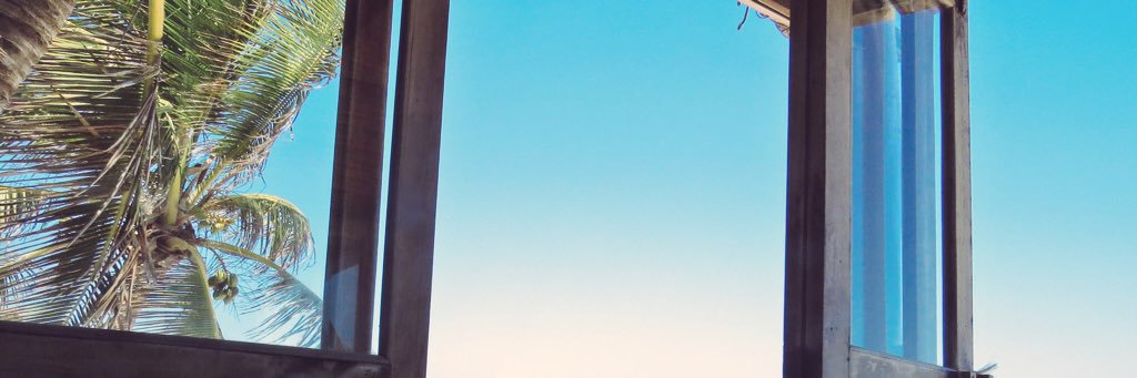 thelmaCbarrera's profile banner image