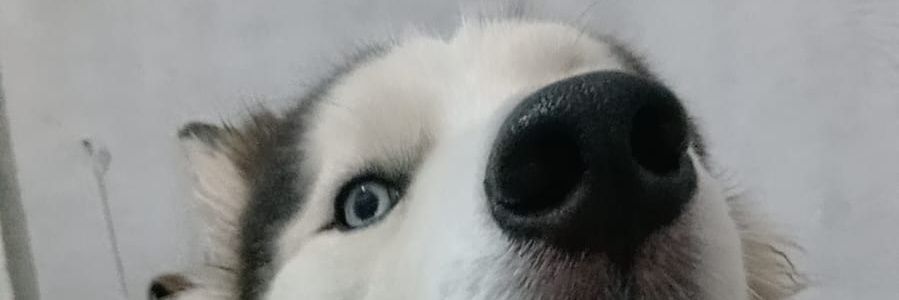 brandonsanchez6's profile banner image