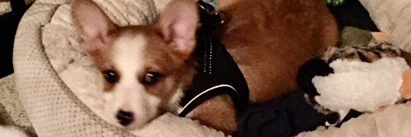 YancyFaith Profile Banner