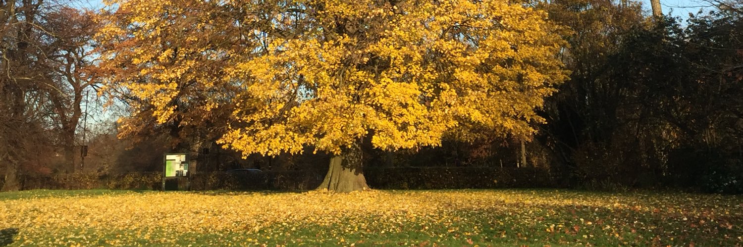 Ici Londres 👣#22637 banner