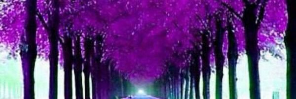 dula_ed's profile banner image