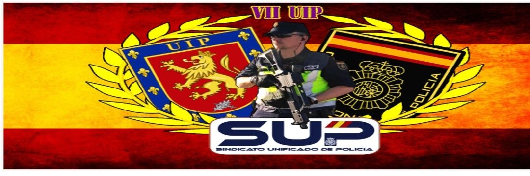 Guzmán R.M banner