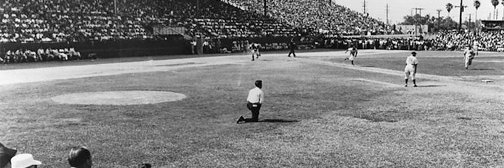 Matt Rodriguez banner