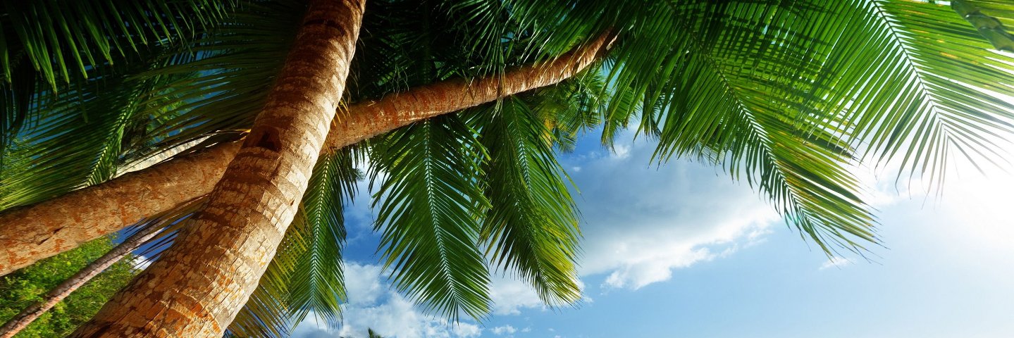 sipsip99's profile banner image