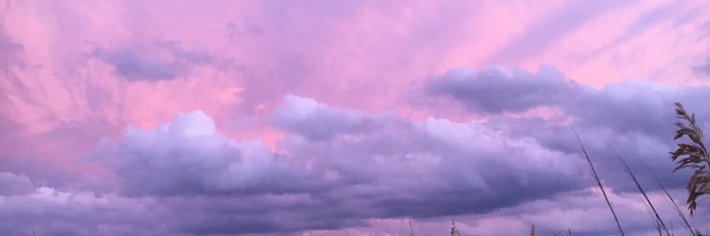 🐺Dr. Wolff🐺 banner