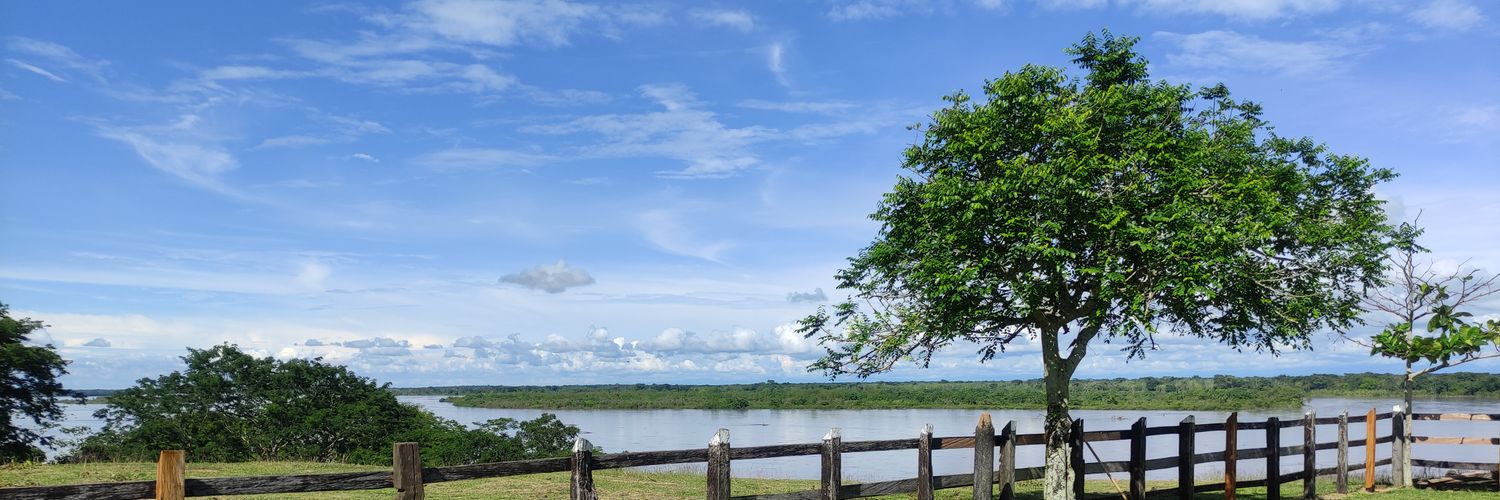 NelsonContra1's profile banner image