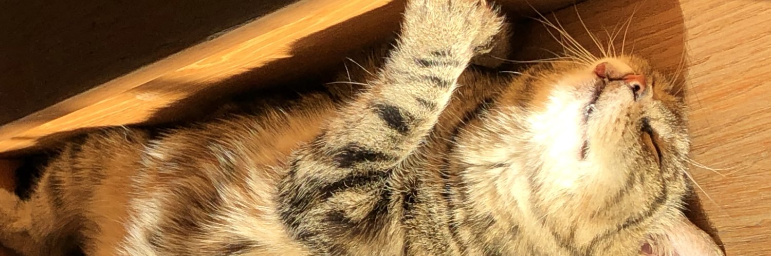 JulianeMichel3's profile banner image
