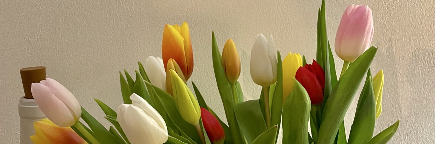 Lola banner